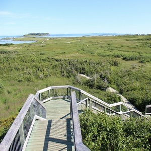 L'Anse aux Meadows site